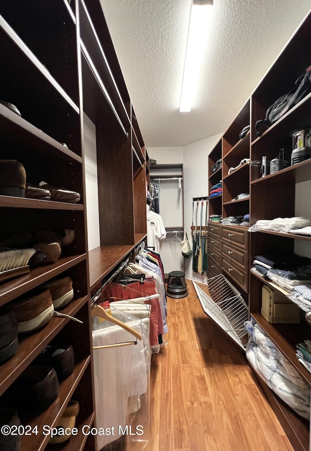 walk in closet with light wood-type flooring