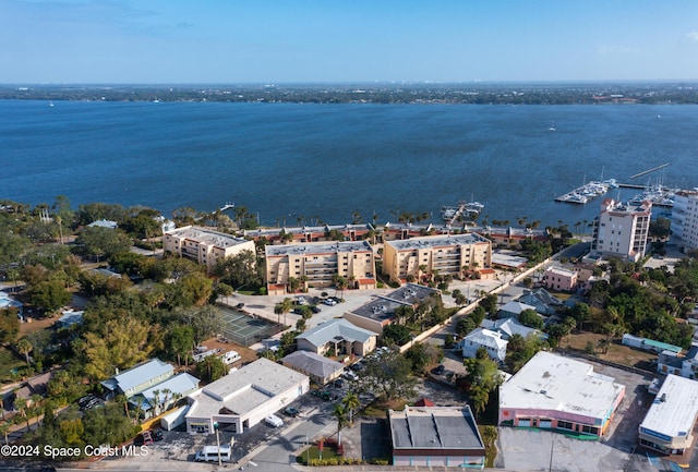 bird's eye view with a water view