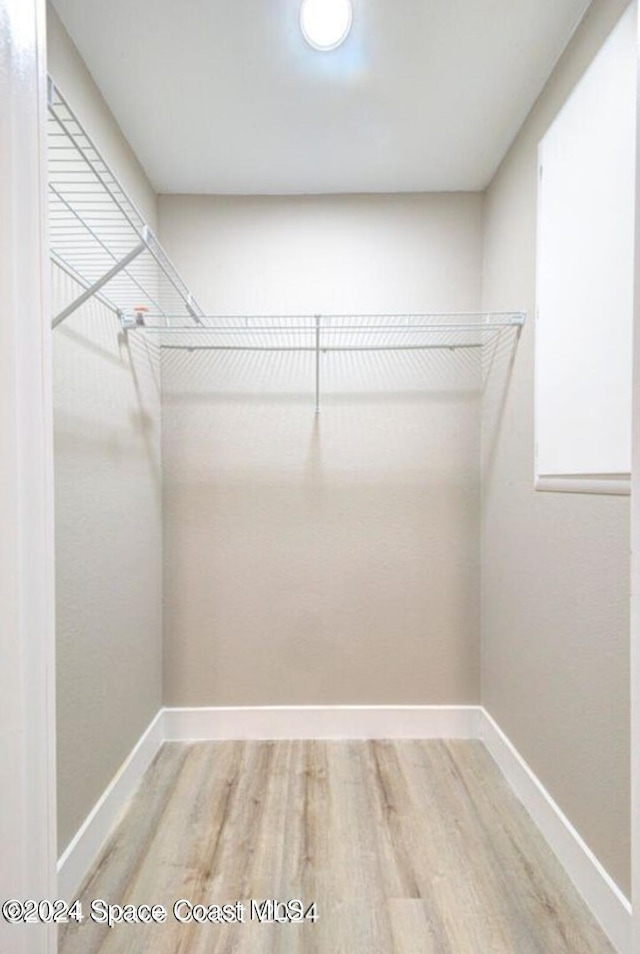 spacious closet featuring hardwood / wood-style flooring