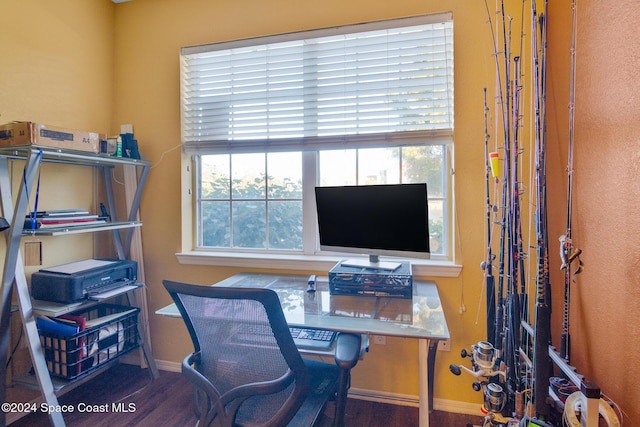 office area featuring dark hardwood / wood-style floors