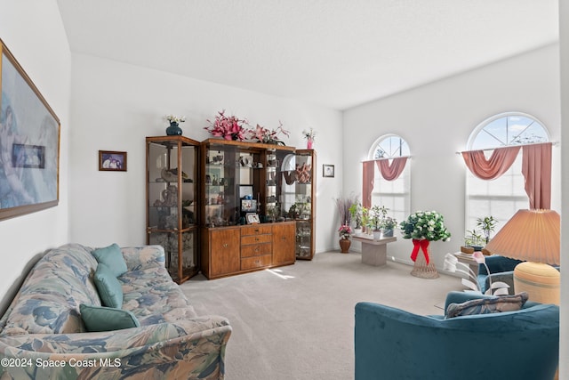 living room with carpet flooring