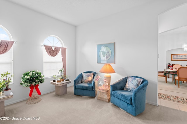 sitting room featuring carpet flooring