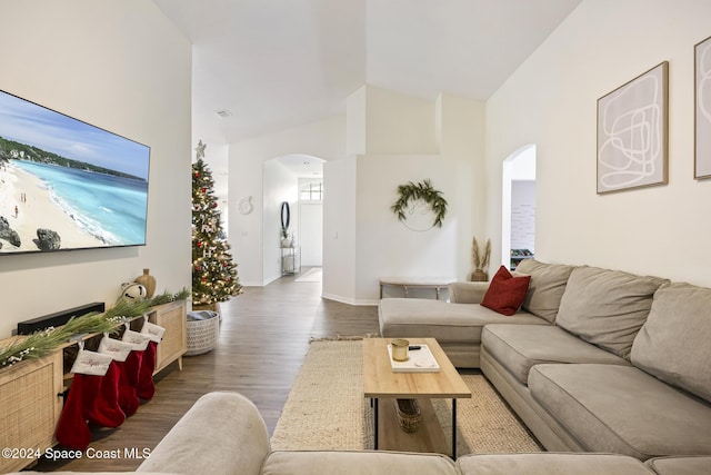 living room with dark hardwood / wood-style floors and high vaulted ceiling