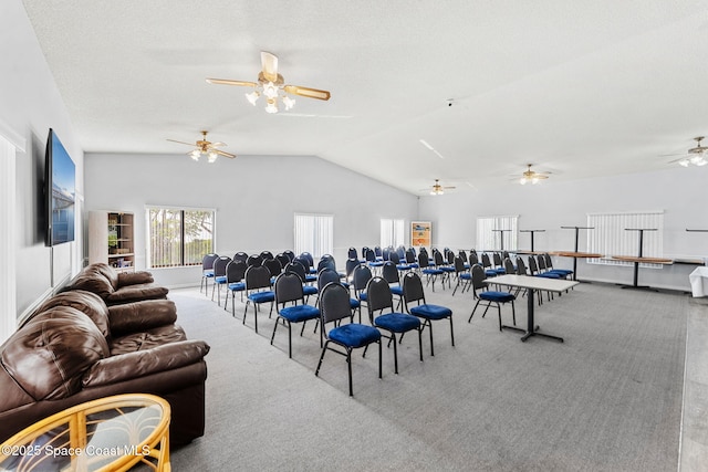 misc room featuring vaulted ceiling, carpet flooring, and a textured ceiling