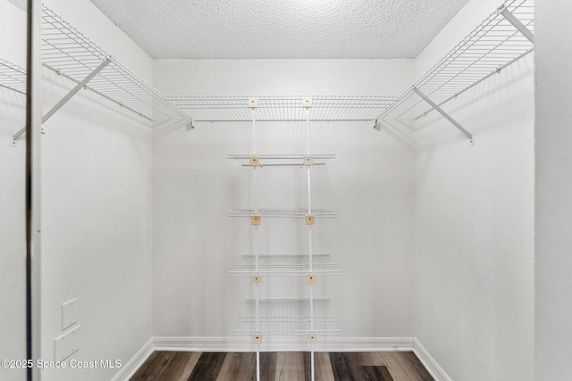 walk in closet featuring wood-type flooring