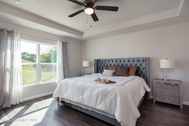 bedroom featuring a tray ceiling, ceiling fan, and dark hardwood / wood-style flooring