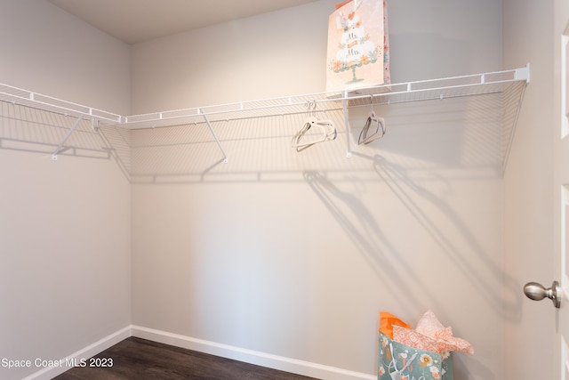 spacious closet with dark wood-type flooring