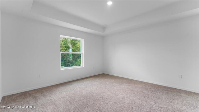 spare room with carpet floors and a raised ceiling