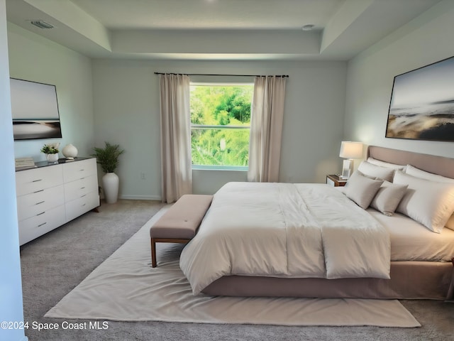 bedroom featuring a tray ceiling and light colored carpet