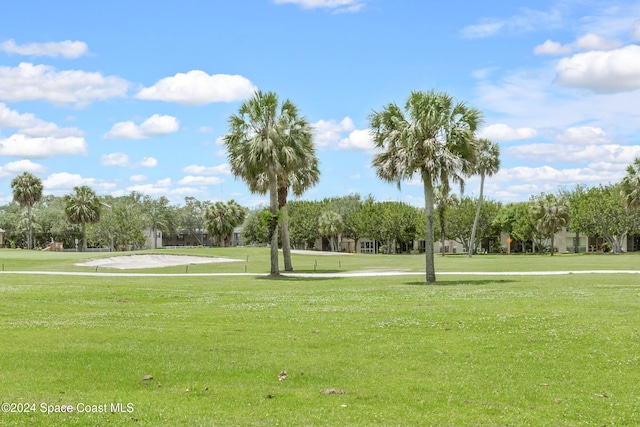 view of property's community with a yard