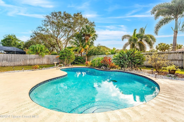 view of pool featuring a patio