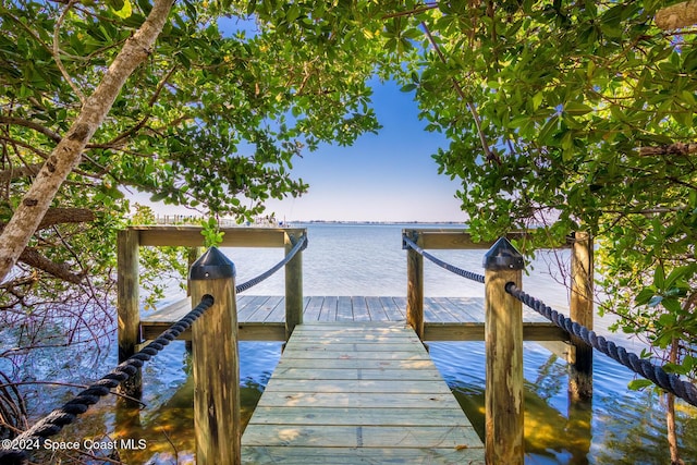 dock area with a water view