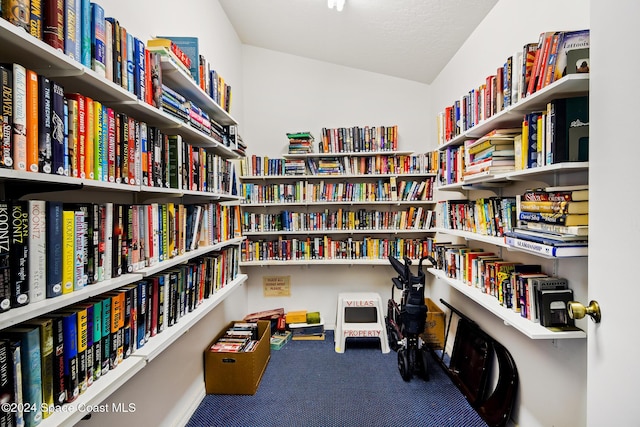 interior space with lofted ceiling