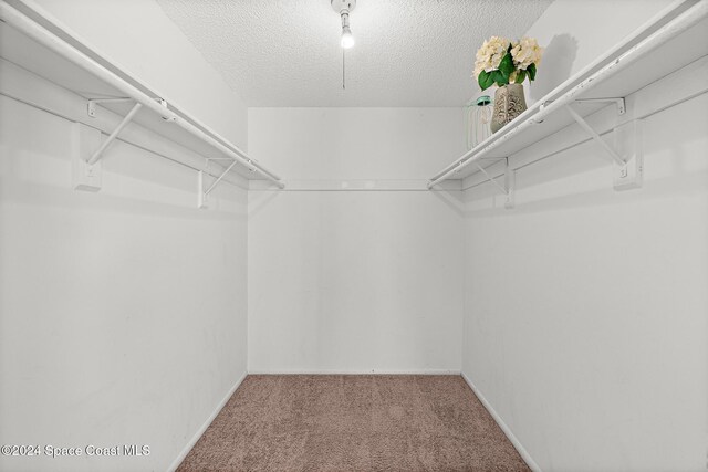 spacious closet with carpet