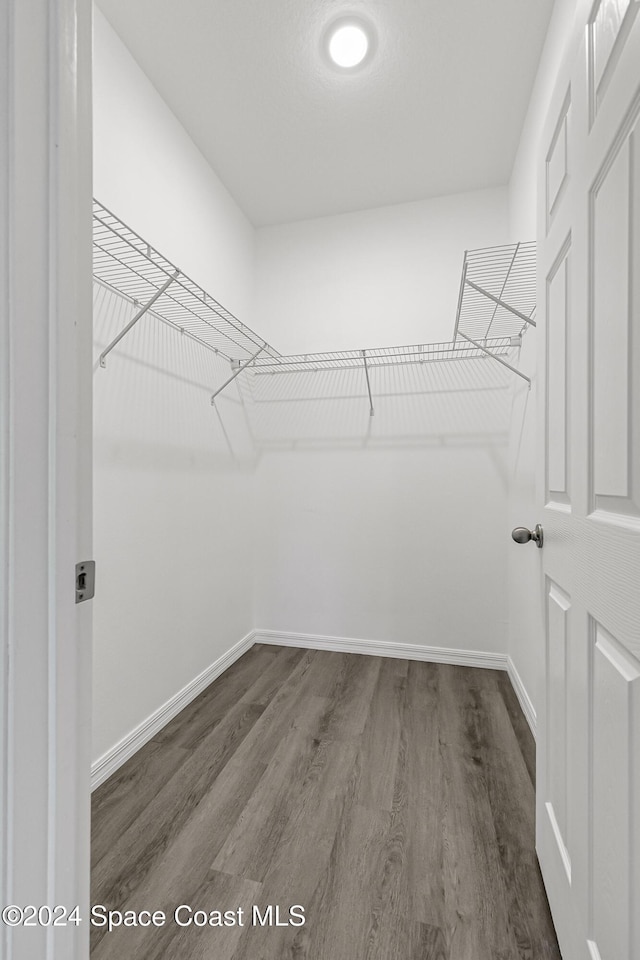 spacious closet featuring hardwood / wood-style flooring