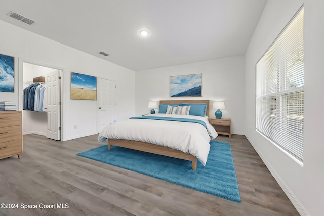 bedroom featuring a walk in closet, wood-type flooring, and a closet