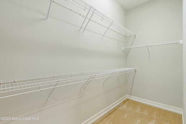 walk in closet featuring carpet flooring