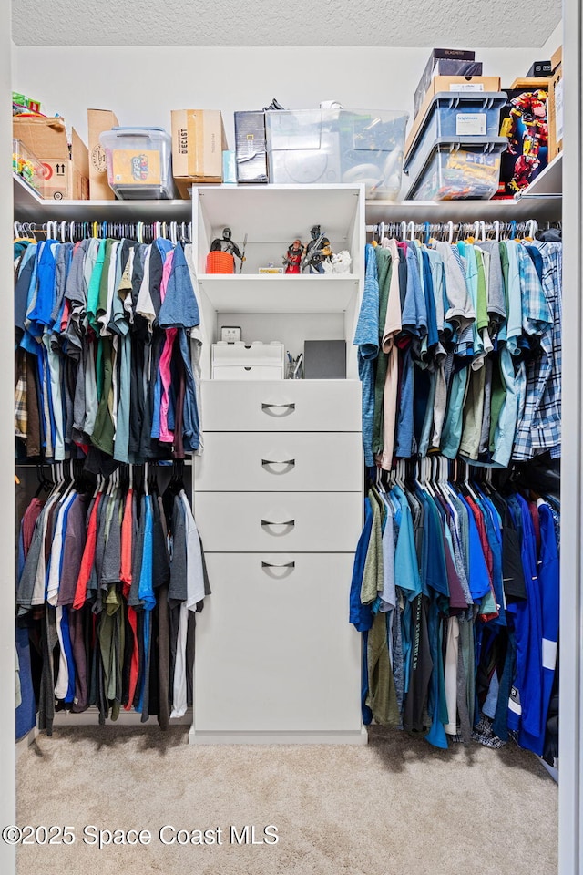 walk in closet with light colored carpet