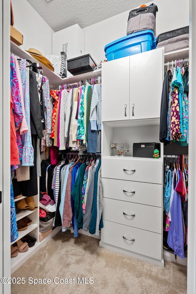 spacious closet featuring light colored carpet