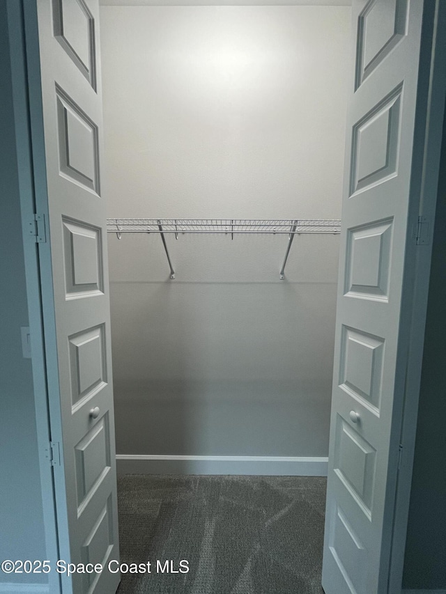 spacious closet featuring carpet floors