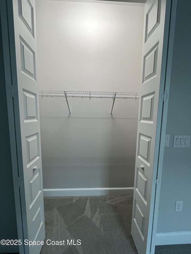 spacious closet with dark carpet