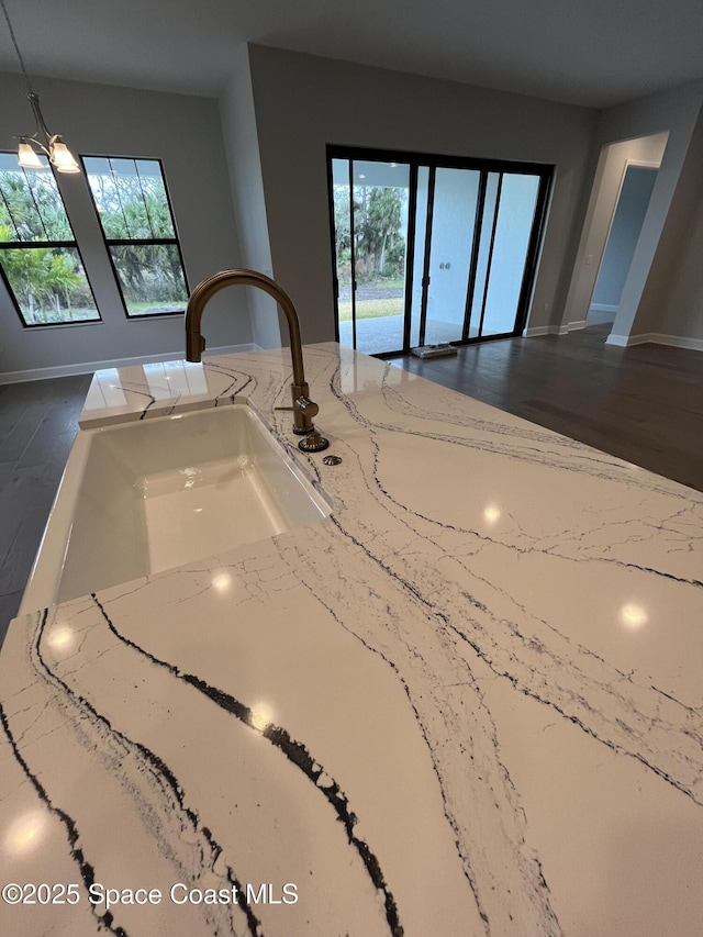 room details with sink and dark hardwood / wood-style flooring