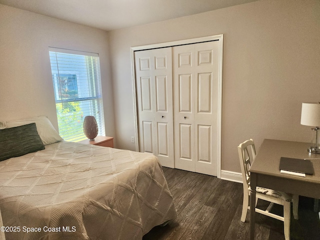 bedroom featuring dark wood-type flooring and a closet