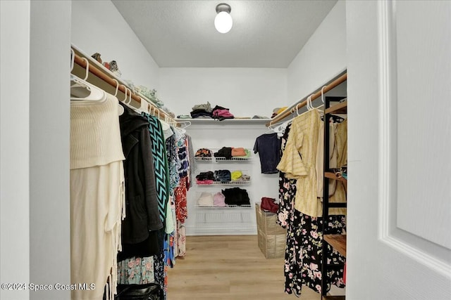 spacious closet with wood-type flooring