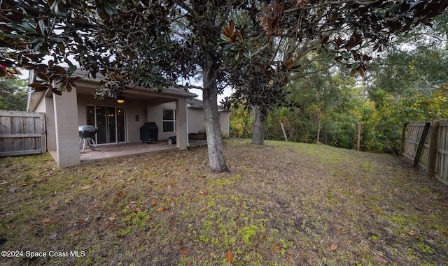 view of yard featuring a patio