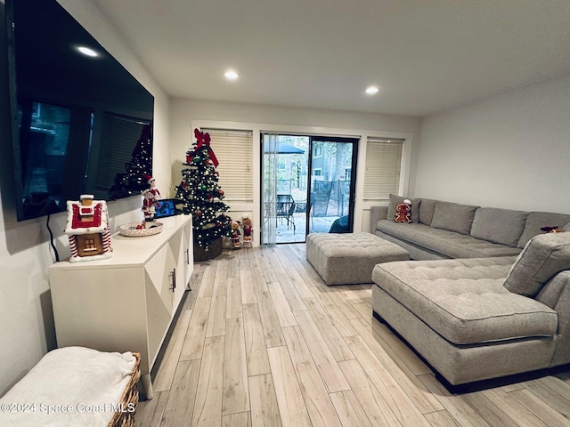 living room featuring light hardwood / wood-style flooring