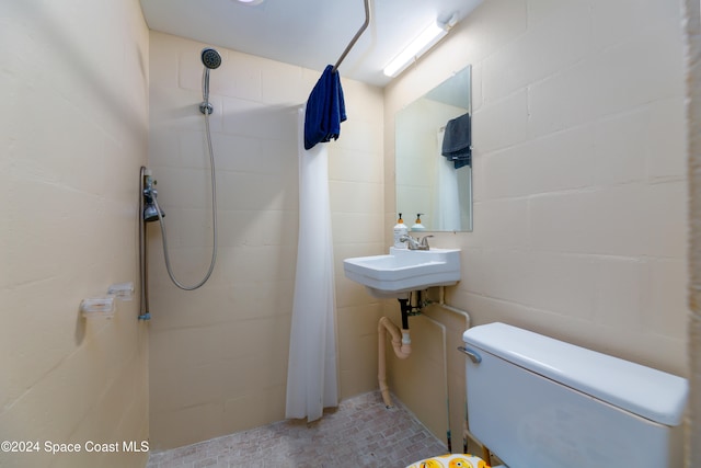 bathroom featuring a shower, sink, and toilet