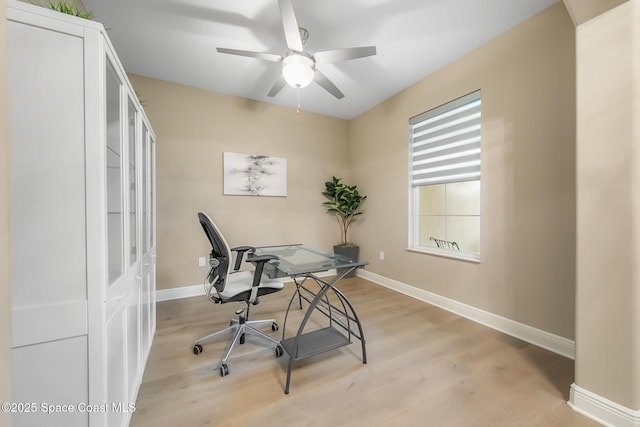 office space featuring ceiling fan and light wood-type flooring