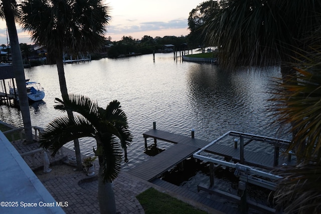 dock area with a water view