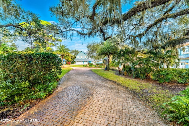 1621 Pineapple Ave, Melbourne, FL 32935 - photo 11
