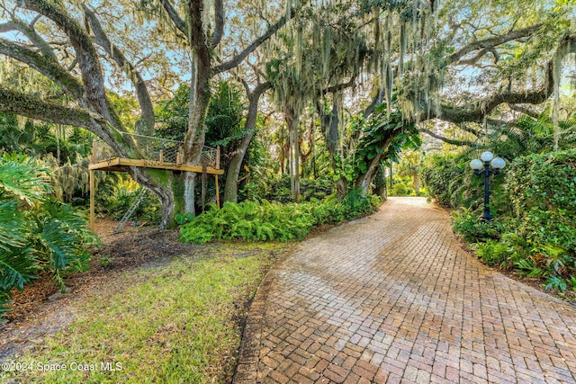 1621 Pineapple Ave, Melbourne, FL 32935 - photo 117