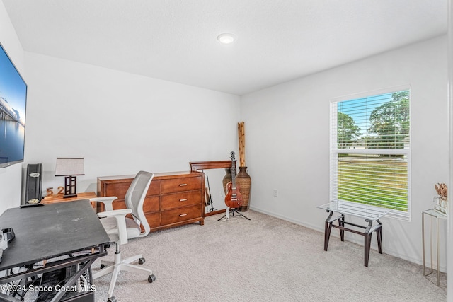 view of carpeted home office