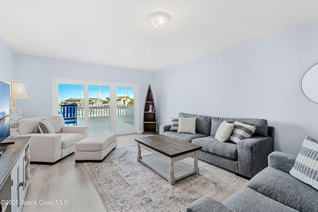 living room featuring a textured ceiling and light hardwood / wood-style flooring