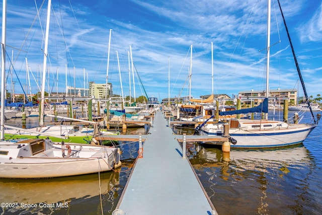 dock area with a water view