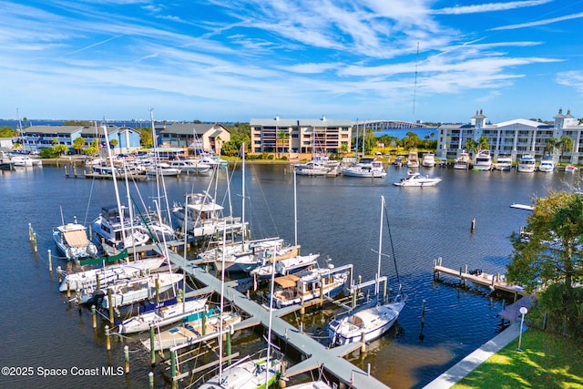 dock area with a water view