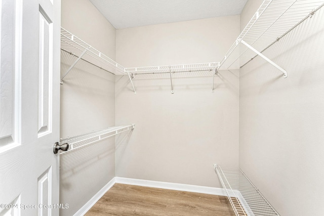 spacious closet with hardwood / wood-style flooring