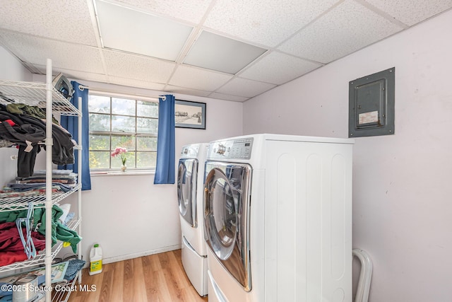 clothes washing area featuring washer and dryer, electric panel, and light hardwood / wood-style floors