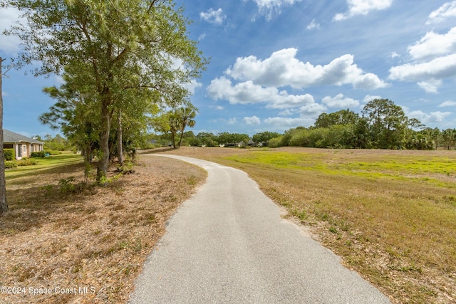 2342 Planter Ridge Ct, Palm Bay, FL 32909 - view of road
