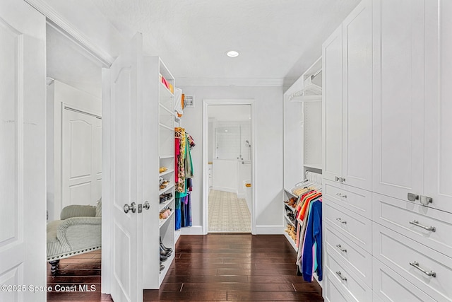 spacious closet with dark wood-type flooring