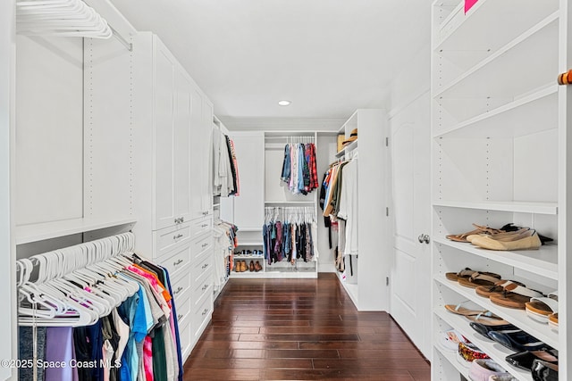 walk in closet featuring dark hardwood / wood-style floors