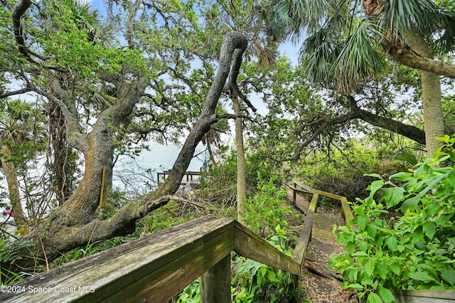 view of landscape