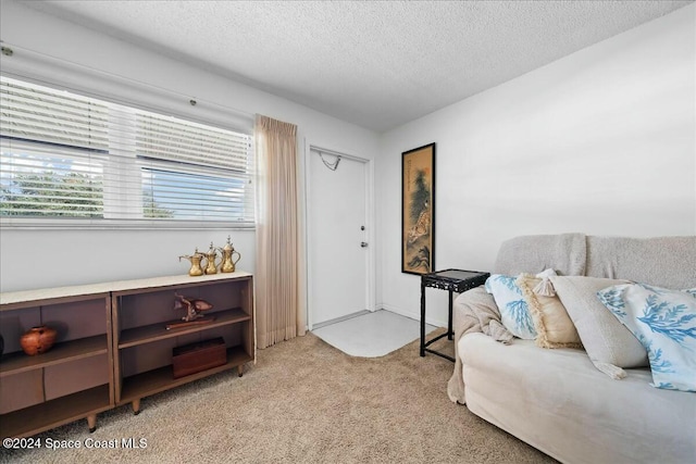 living area with light colored carpet and a textured ceiling