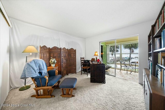 living area with carpet flooring