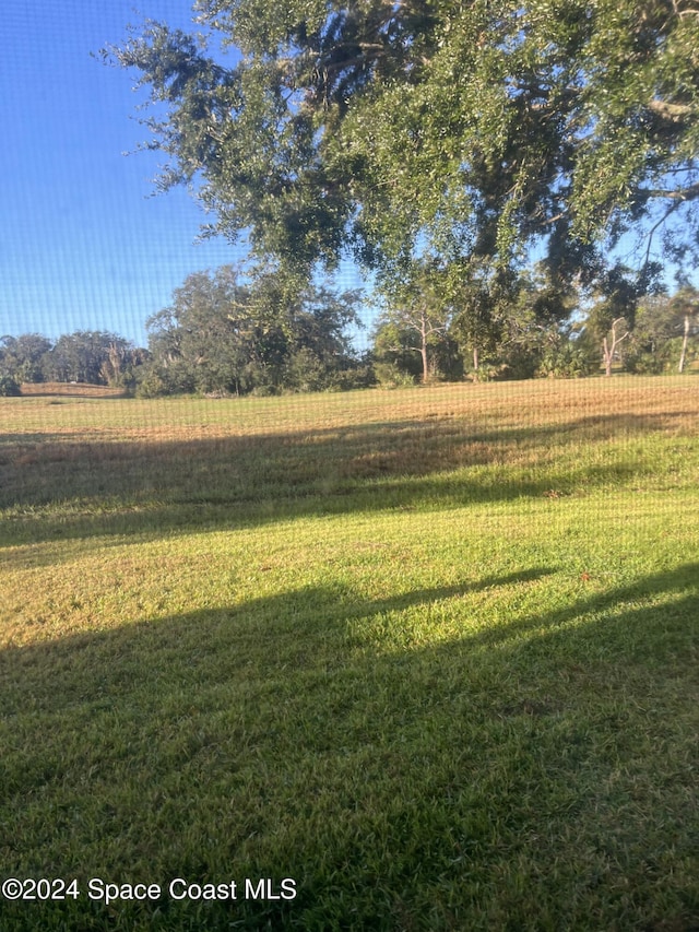 view of yard with a rural view