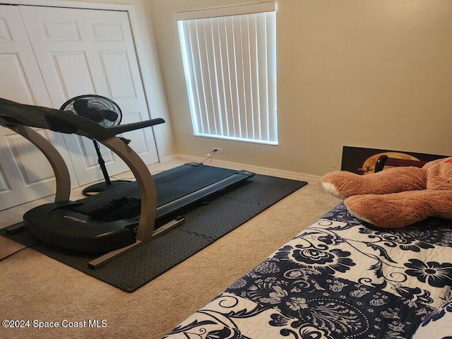 workout area with carpet