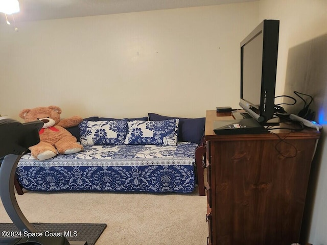 bedroom with carpet floors